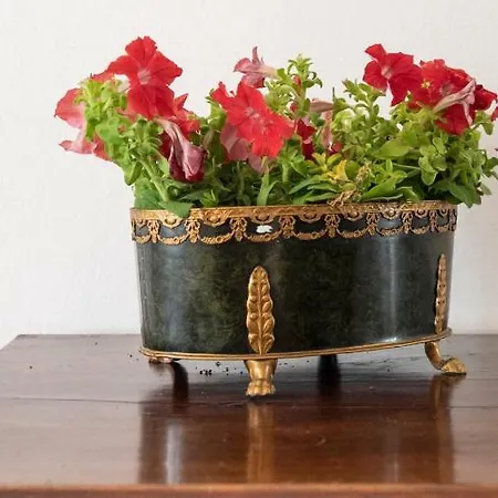 Il Tenore D'oro Centralissimo פארמה