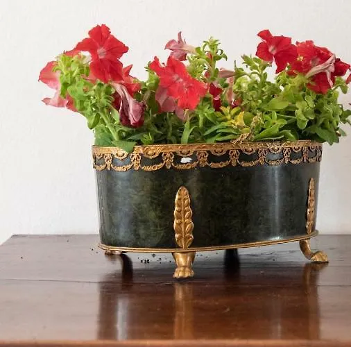 Il Tenore D'oro Centralissimo Parma